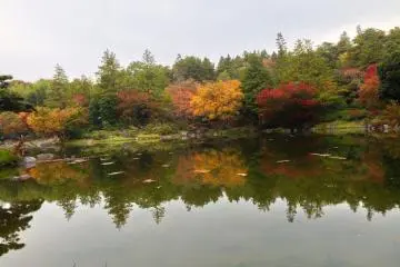 Another beautiful reflection full of colors!