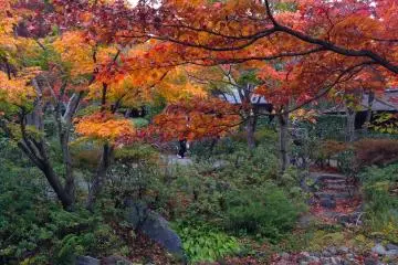 Red colors near the traditional tea house. One of the park's most spectacular&nbsp;sights!
