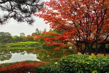 Red colors and reflections... Just can't get enough of it...