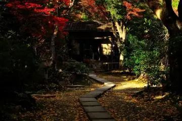 <p>Stepping stone path leading to the main hall</p>
