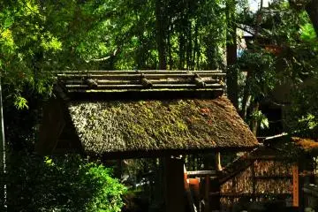 <p>The entrance gate of the hermitage surrounded by bamboo forest</p>