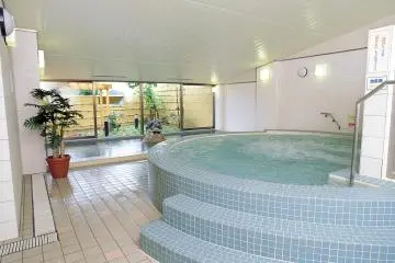 <p>Hotel Yokoteji has shared public baths divided for male and female guests with hot spring water and a sauna. The photo was taken with hotel staff approval.</p>