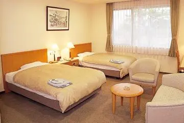 <p>Twin room</p>