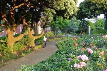 Gallery image