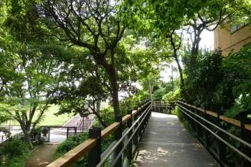 <p>This boardwalk is a nice little touch, and great for walking.</p>