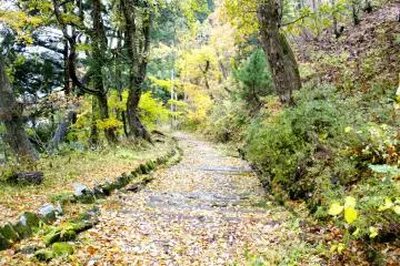 <p>Walking down from Yokote Castle through 'Nanamagari' - an old path that the samurai used to take to go to and from the castle</p>