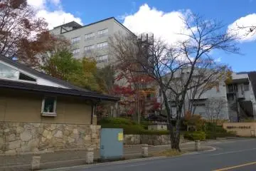 Gallery image