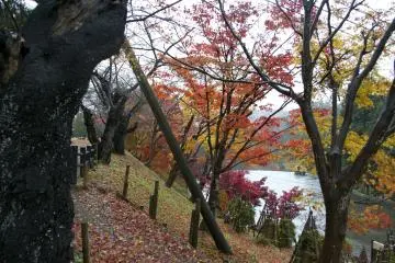 <p>Taman Yokote</p>