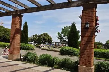 Gallery image