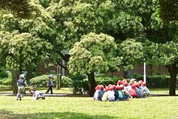Lots of kids enjoy playing in the park