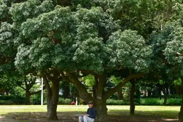 But quiet enough for artists and others to enjoy private contemplation