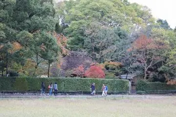 From a short distance away, you can see the thatched roof poking out over the surrounding shrubs