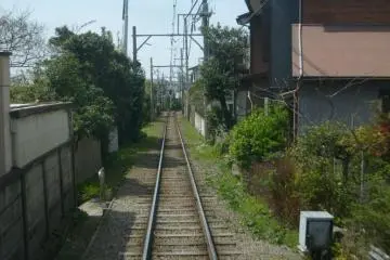 <p>Getting close to the locals around Gokurakuji</p>