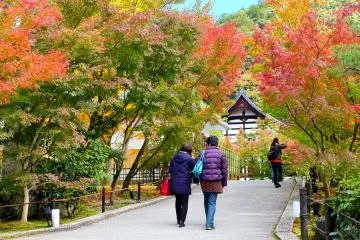 <p>So pleased to enjoy the view of Eikando Temple in Autumn</p>