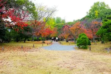 <p>A few local and international tourists</p>