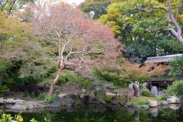 <p>A couple of elderlies at the garden</p>