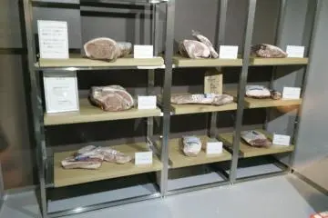 <p>Murakami beef in cold storage from the huge pile of snow</p>