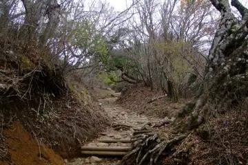 Hiking trail on Mt. Oyama &nbsp;