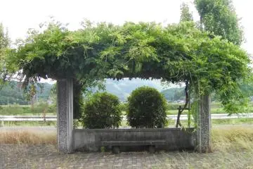 Valley River Trellis