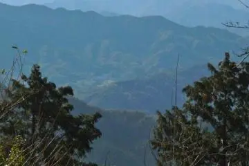 The hike to the top of Mount Takao is rewarded with this amazing view of Mount Fuji.  There are also rest areas and food sold up here.  Various trails lead down the mountain.