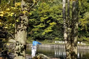 <p>There are often old men fishing here during summer, always accompanied by cats hoping for a snack</p>