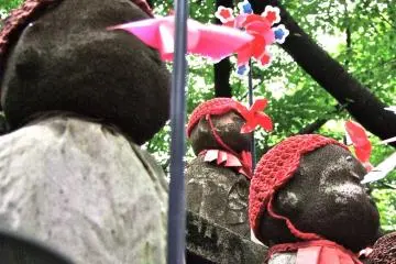 Cómodo debajo de los arboles 