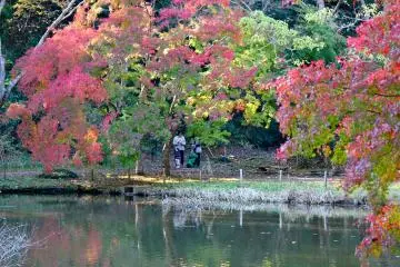 <p>Many families hiked through the park to settle around the duck pond</p>