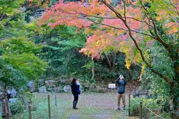 <p>Get your cameras ready because the fall colors are pretty spectacular here</p>