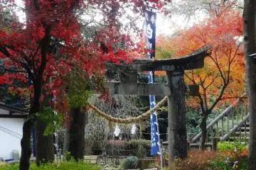 Gallery image