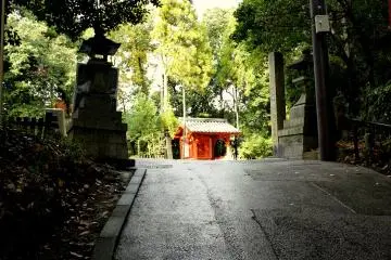 โคมไฟหินริมถนนในช่วงที่ถนนกำลังออกจากร่มเงาของแมกไม้ ไปสู่แสงสว่างแห่งดวงอาทิตย์