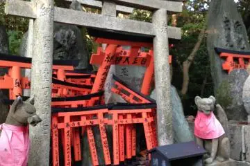 <p>도리이, 도리이, 그리고 도리이...</p>