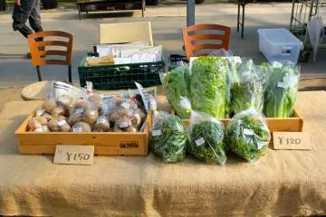 <p>Farmers Market open daily</p>