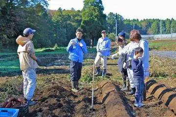<p>The Weekend Farmers Club volunteers will happily educate you on how to harvest the vegetable in season</p>