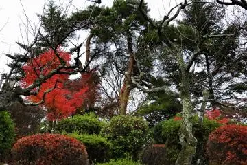 <p>What a wild, yet intricate shape and design!</p>
