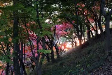 니시야마 공원 산허리에서 일몰