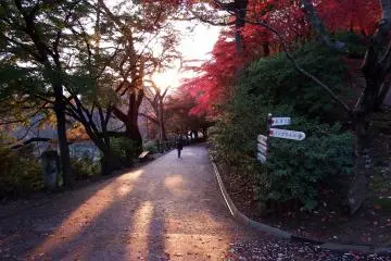 니시야마 공원 기도길의 아름다운 가을날