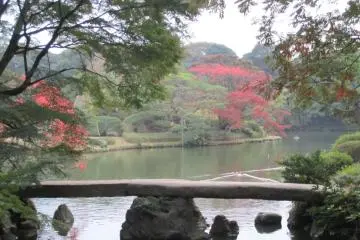 Rikugi-en Park, Bunkyo-ku, Tokyo
