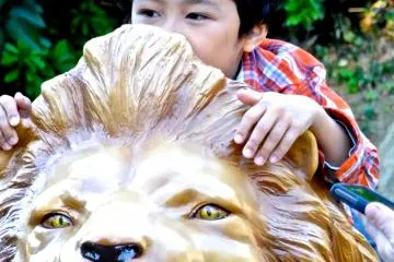 A pair of lions. The slot in the lion's mouth is for donations. Entrance to the zoo is free