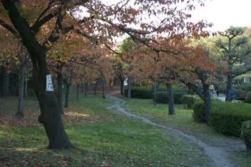 <p>Should we follow that path?</p>