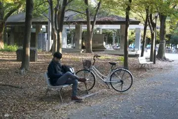 <p>Chilling at the beautiful park</p>
