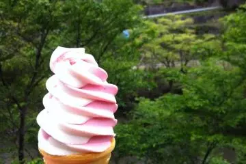 Strawberry and vanilla ice cream