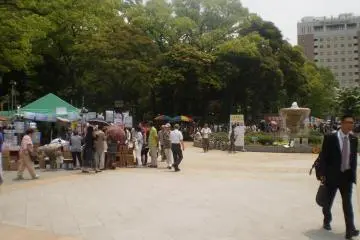 Central area