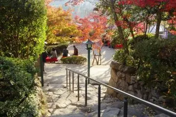 <p>Stairs down to more foliage</p>