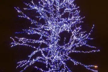 A Christmas tree in MM21.