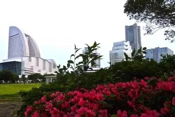 The park offers up a nice balance of nature and city.