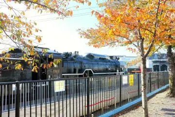 <p>Take a ride on a real steam locomotive train</p>