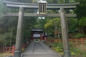 Gallery image