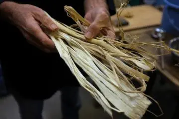 <p>The barks that we used to make washi</p>