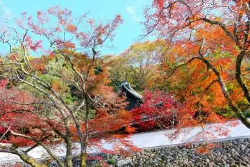 Pagoda Ryuanji