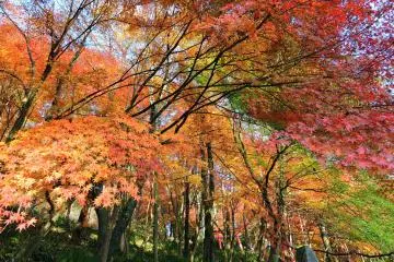 <p>Wow! It's so gorgeous!</p>